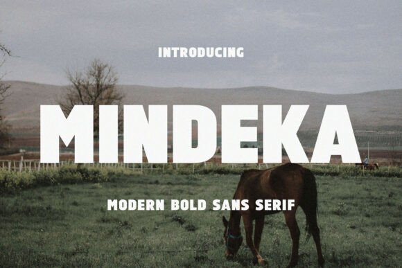 Mindeka: A Modern Sans Serif for Web Design