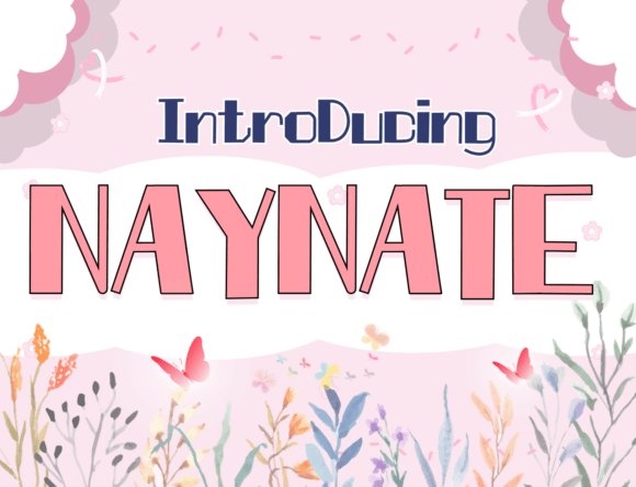 Naynate: A Sans Serif Font with Editorial Character
