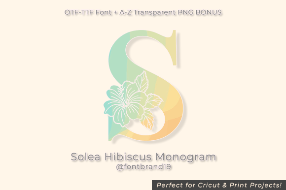 Solea Hibiscus Monogram: A Tropical Decorative Font